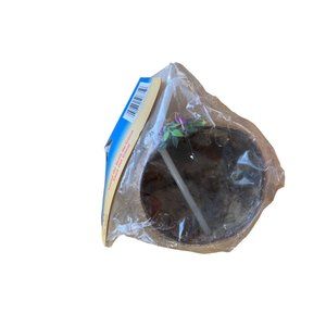 New Beistle Coconut Cup 10 oz included Straw flower Plastic Beach Luau Fun Party